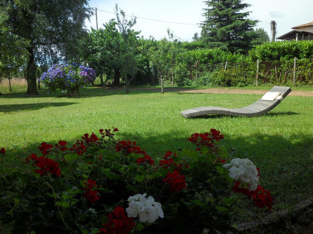 B&B Cuei Di Baret Tricesimo Dış mekan fotoğraf
