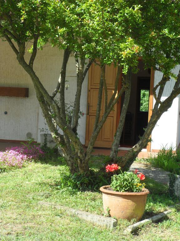 B&B Cuei Di Baret Tricesimo Dış mekan fotoğraf