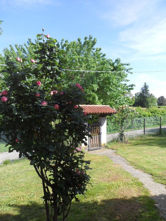 B&B Cuei Di Baret Tricesimo Dış mekan fotoğraf
