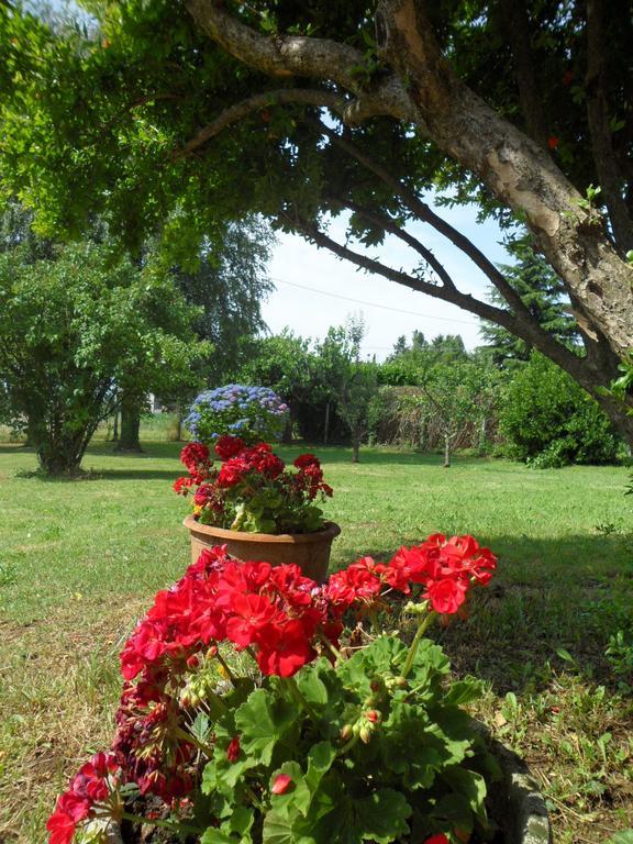 B&B Cuei Di Baret Tricesimo Dış mekan fotoğraf